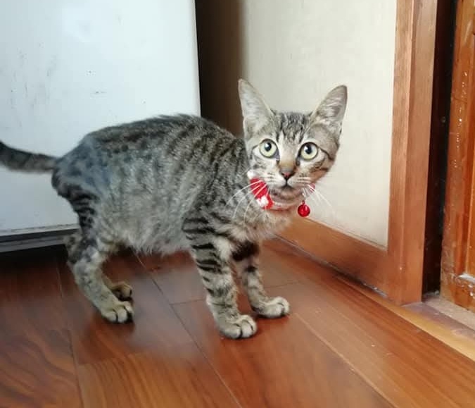 はじまりの想い