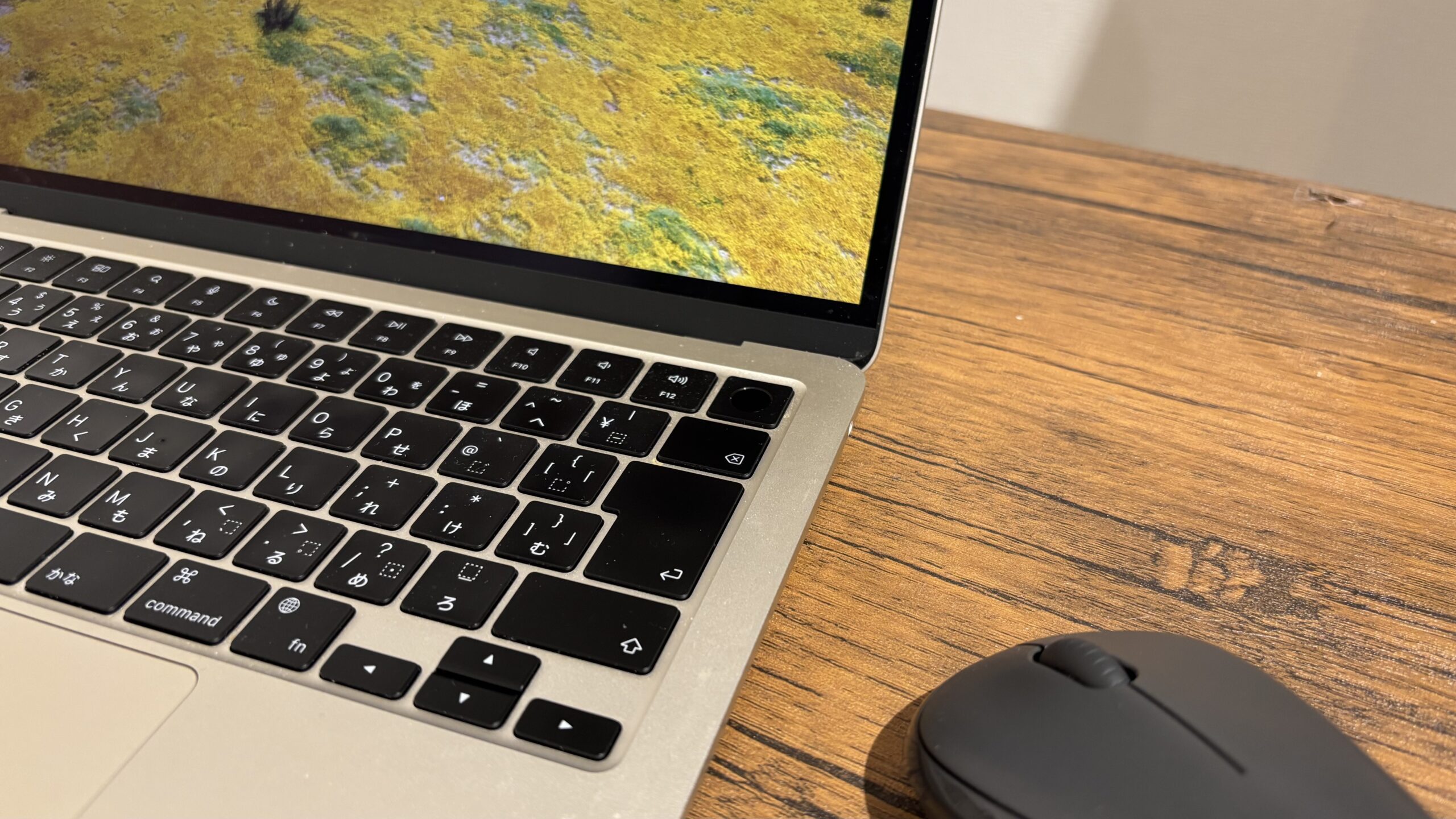 クリエイター体験